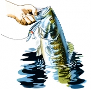 lift_smallmouth_m